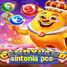 sintonia pcc